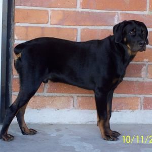 Meet your Posher, Stephen